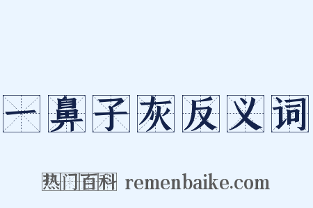 一鼻子灰反义词是什么意思的图片
